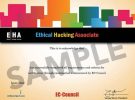 Ethical-Hacking-Associate-Sample