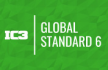 IC3 Digital Literacy Global Standard 6
